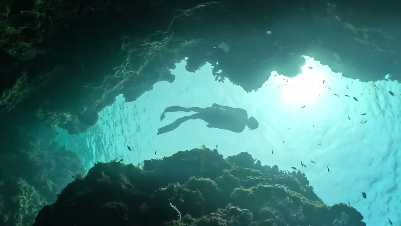 🌊🕵️&zwj;♂️ Secrets Beneath the Waves: Exploring the Ocean&rsquo;s Hidden Depths! 🐠🌟 #OceanExploration