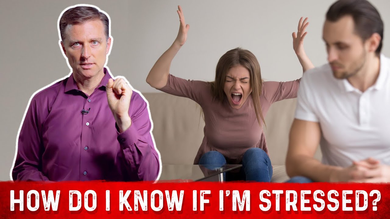 How Do I Know If I'm Stressed? &ndash; Dr.Berg On Signs of Stress