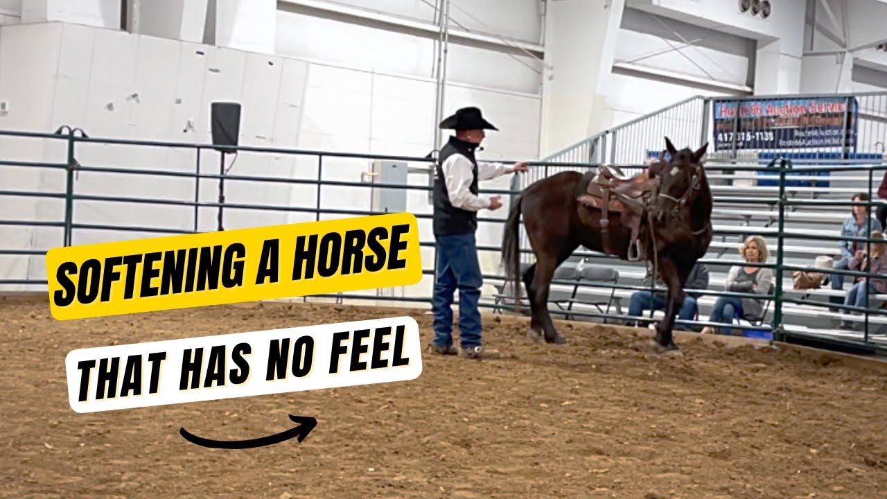 D/C  SOFTENING A HORSE THAT HAS NO FEEL Part 2 of 3 |  Deuce