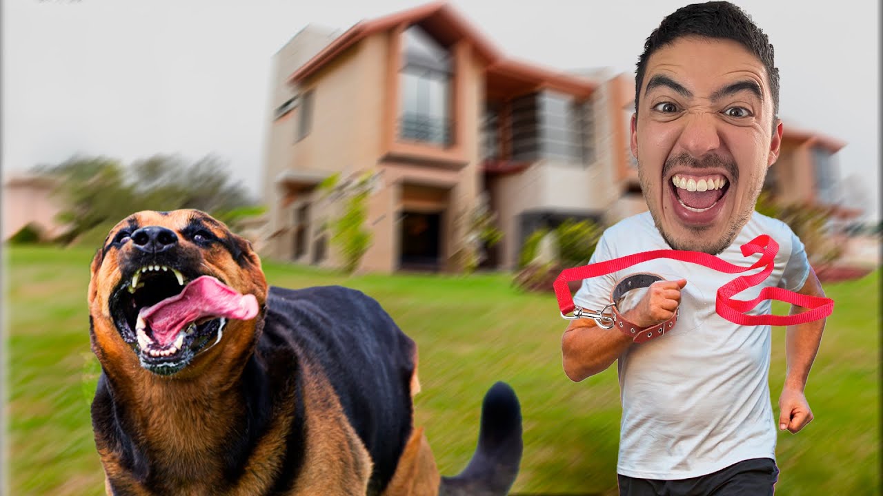 Cachorro NÃO GOSTA da COLEIRA. Solução COMPLETA! | Adestramento Online | Cão Guardião