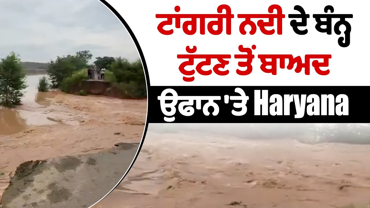 LIVE | Haryana Flood Update | ਟਾਂਗਰੀ ਨਦੀ ਦੇ ਬੰਨ੍ਹ ਟੁੱਟਣ ਤੋਂ ਬਾਅਦ ਕਈ ਪਿੰਡਾਂ 'ਚ ਆਇਆ ਹੜ੍ਹ