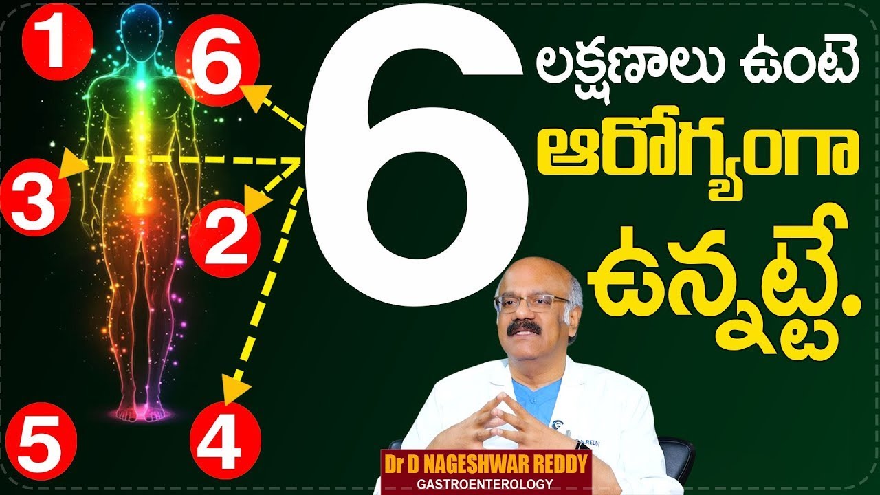 ఈ 6 లక్షణాలు ఉంటే ఆరోగ్యంగా ఉన్నట్టే..! 6 Signs of Good Health | Dr Nageswara Reddy Abt Healthy Diet