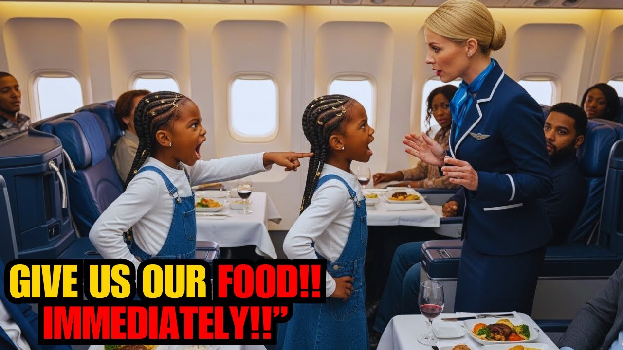 Racist Flight Attendant Gives Black Twins ONE Plate to Share - Billionaire Dad GROUNDS THE FLIGHT