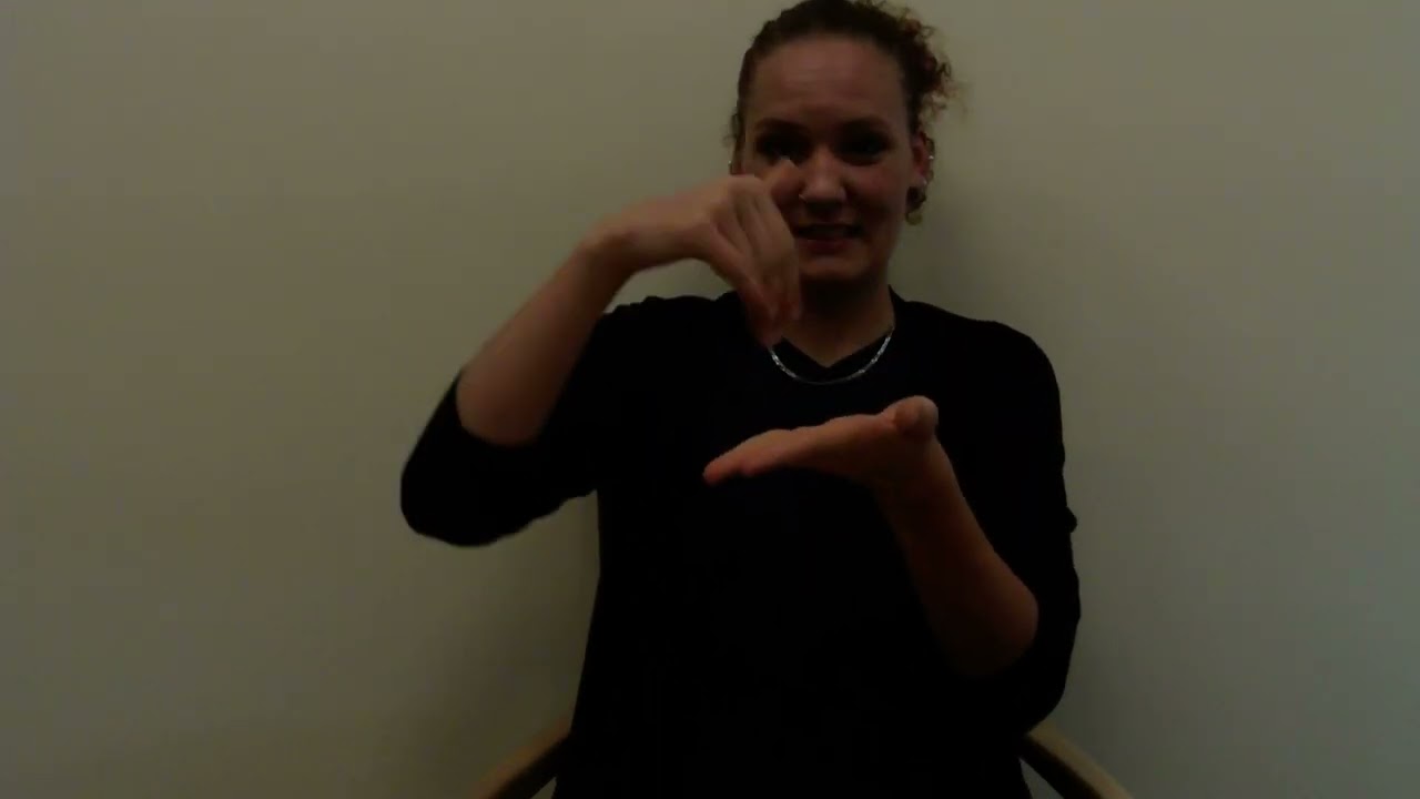 ASL- USI Disability Related Services