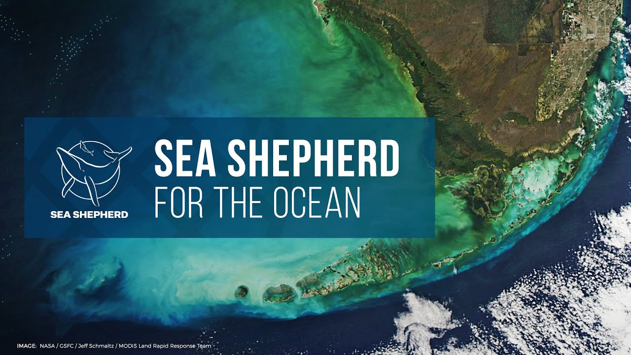 Difendere gli Oceani per salvare la Terra