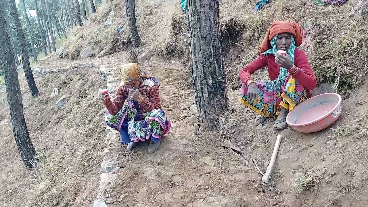 सदनी नि रैङ रे झूंतु तेरी जमीदारी || Gadhwali Song || funny video|| Uttrakhand #narendrasinghnegi