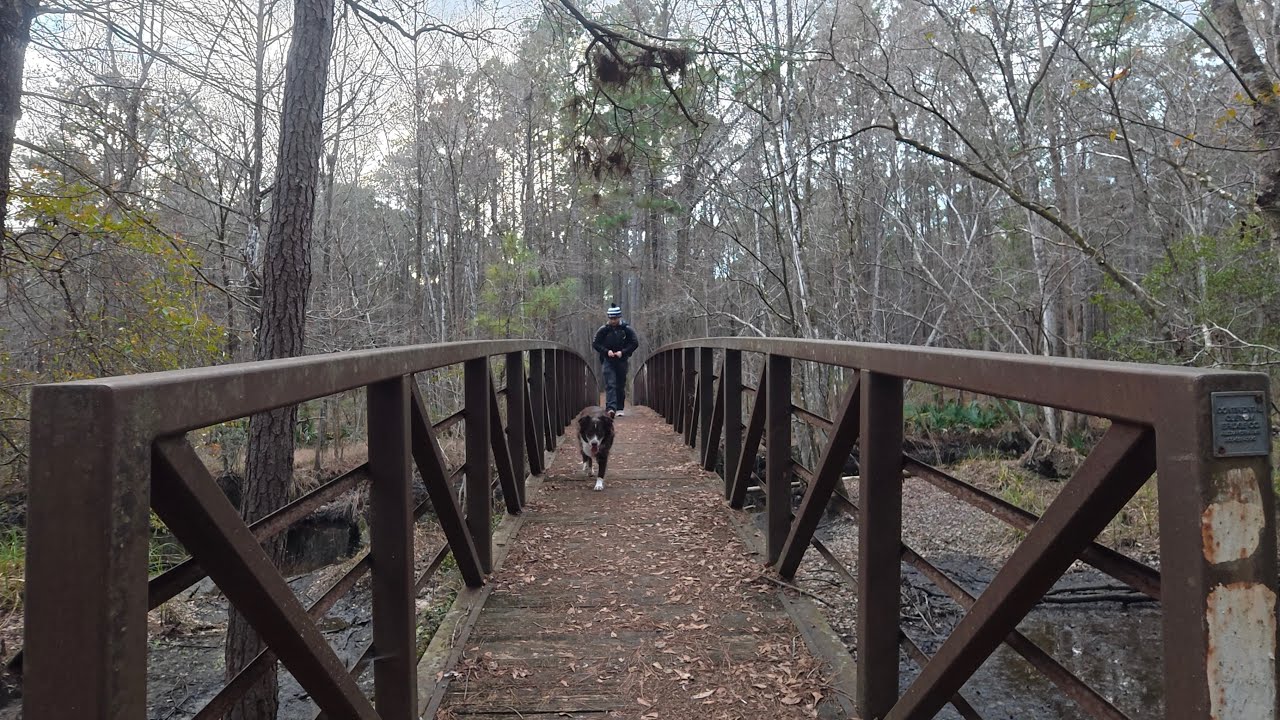 Backpacking the Francis Marion with My Dog (I Turned Back)