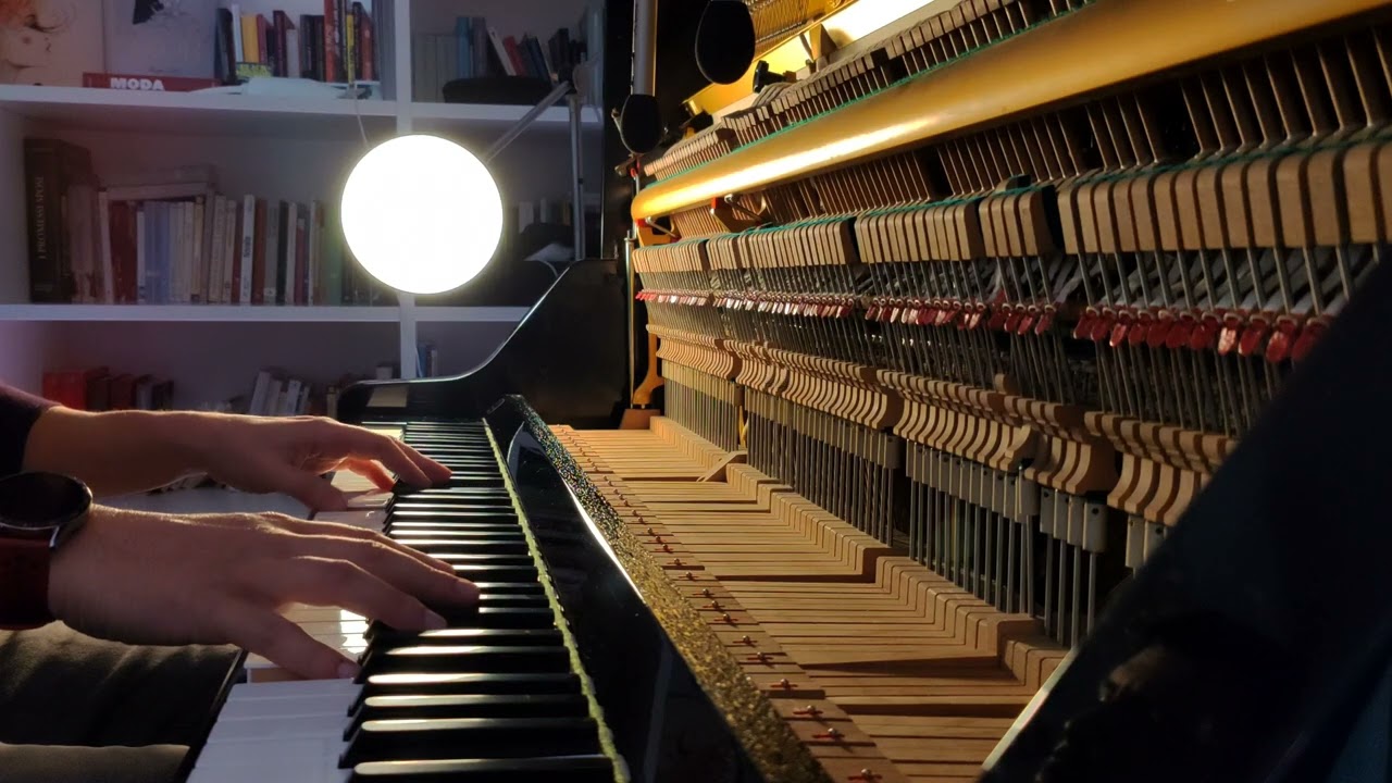 Winter Snow - Virginio Aiello (piano cover)