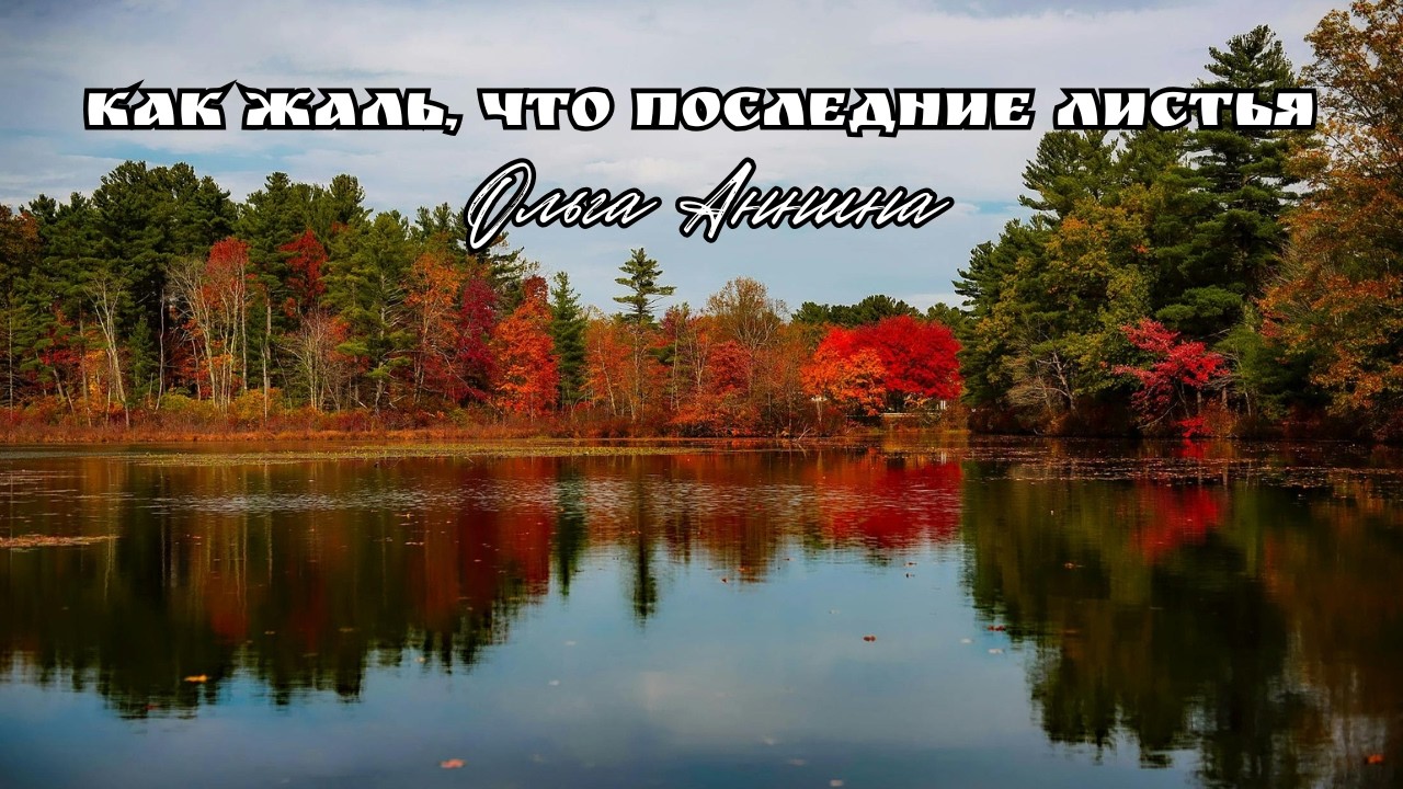Как жаль, что последние листья | Ольга Аннина