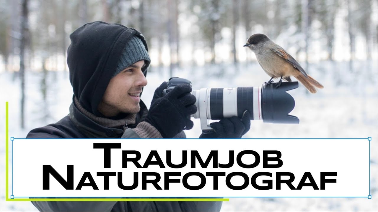 Traumjob Naturfotograf? Ein Blick hinter die Kulissen mit @Fabian Fopp - Naturfotografie