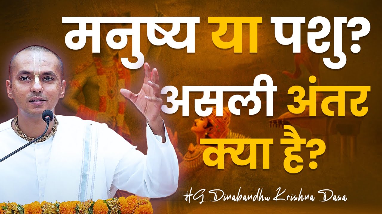 आप मे और पशु मे अंतर जाने ? | BG - 3.38 in Hindi | HG Dinabandhu Krishna Dasa | Hare Krishna Mandir