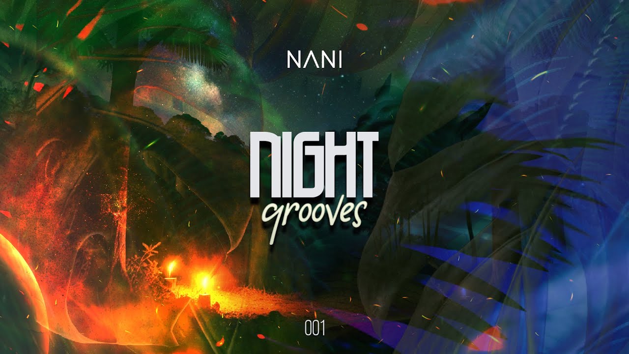 NANI presents NIGHT GROOVES 001 - Organic & Shamanic Experience