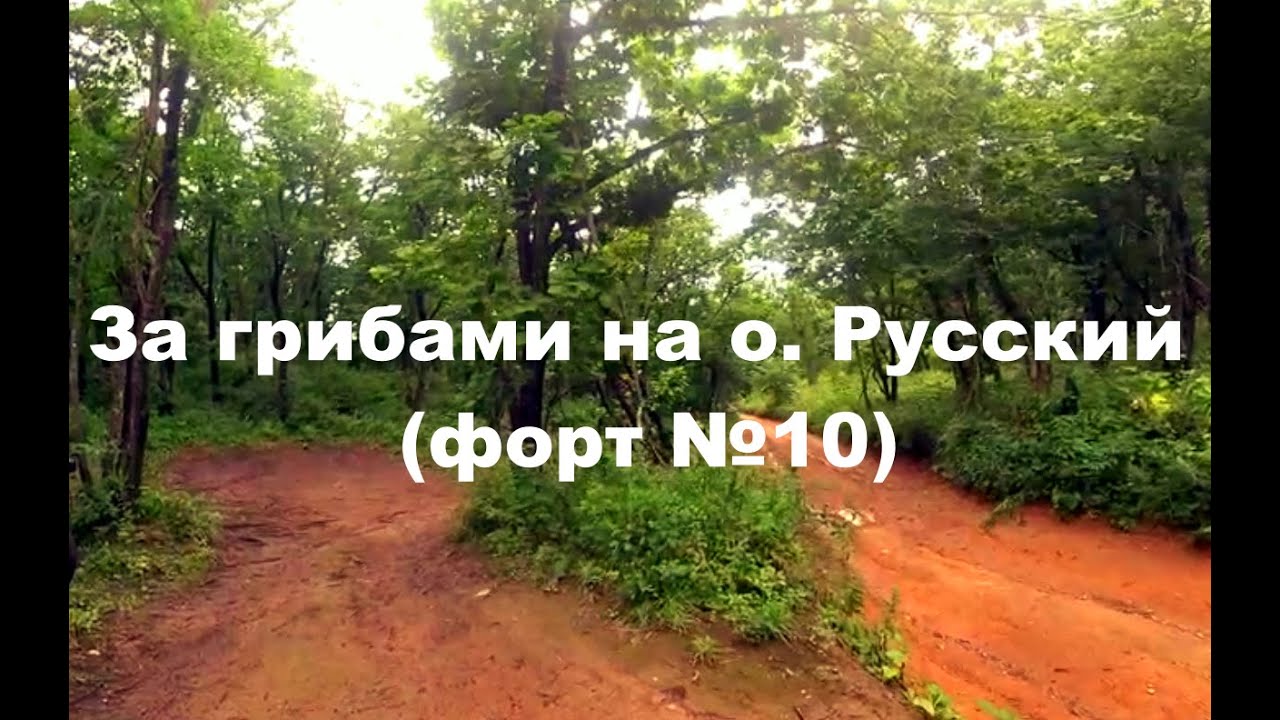 За грибами на о  Русский форт №10