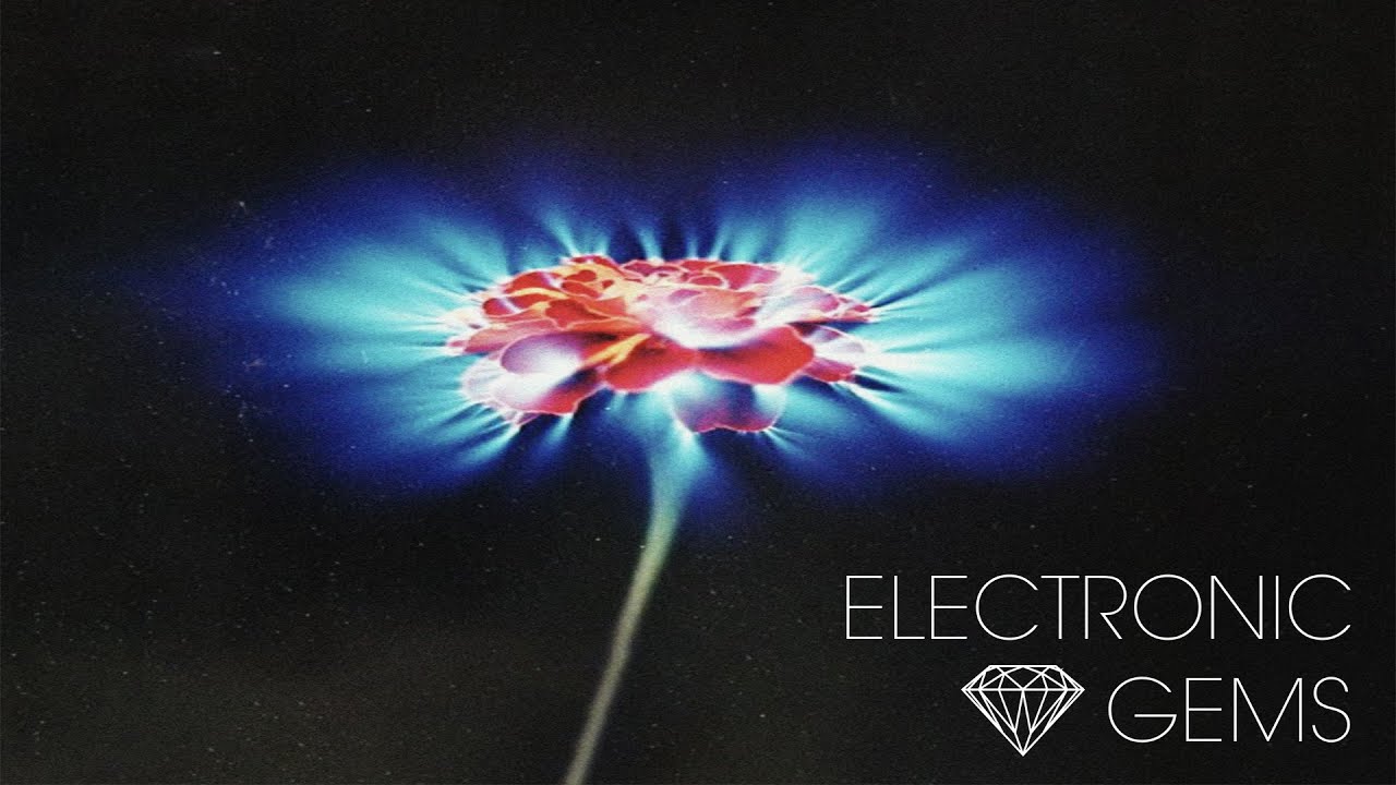 VIQ - Lost Bloom