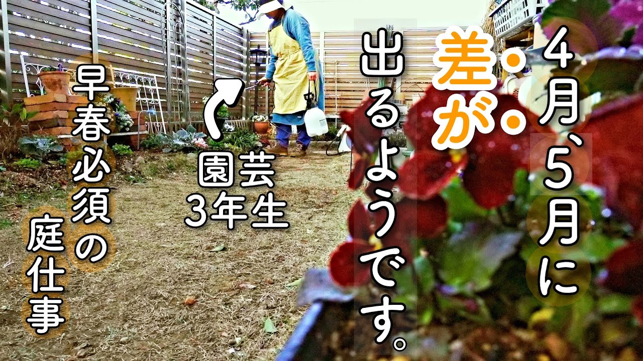 去年よりも咲かせたい♪最高の春庭にするための追い込み庭仕事｜まさかの事件に悔し涙｜花友フェスタ参戦｜小さな庭のガーデニング
