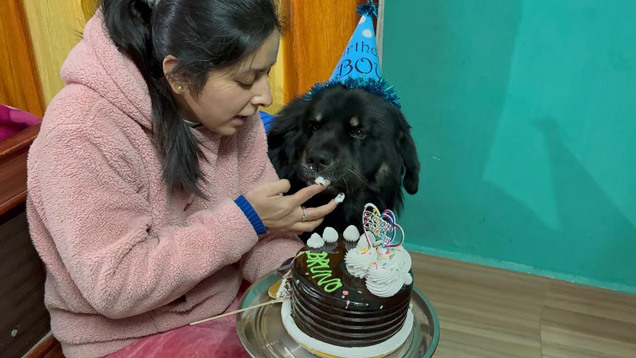 आज का दिन हमारे लिए खास क्यों है? @komalpanwarvlogs_1723 