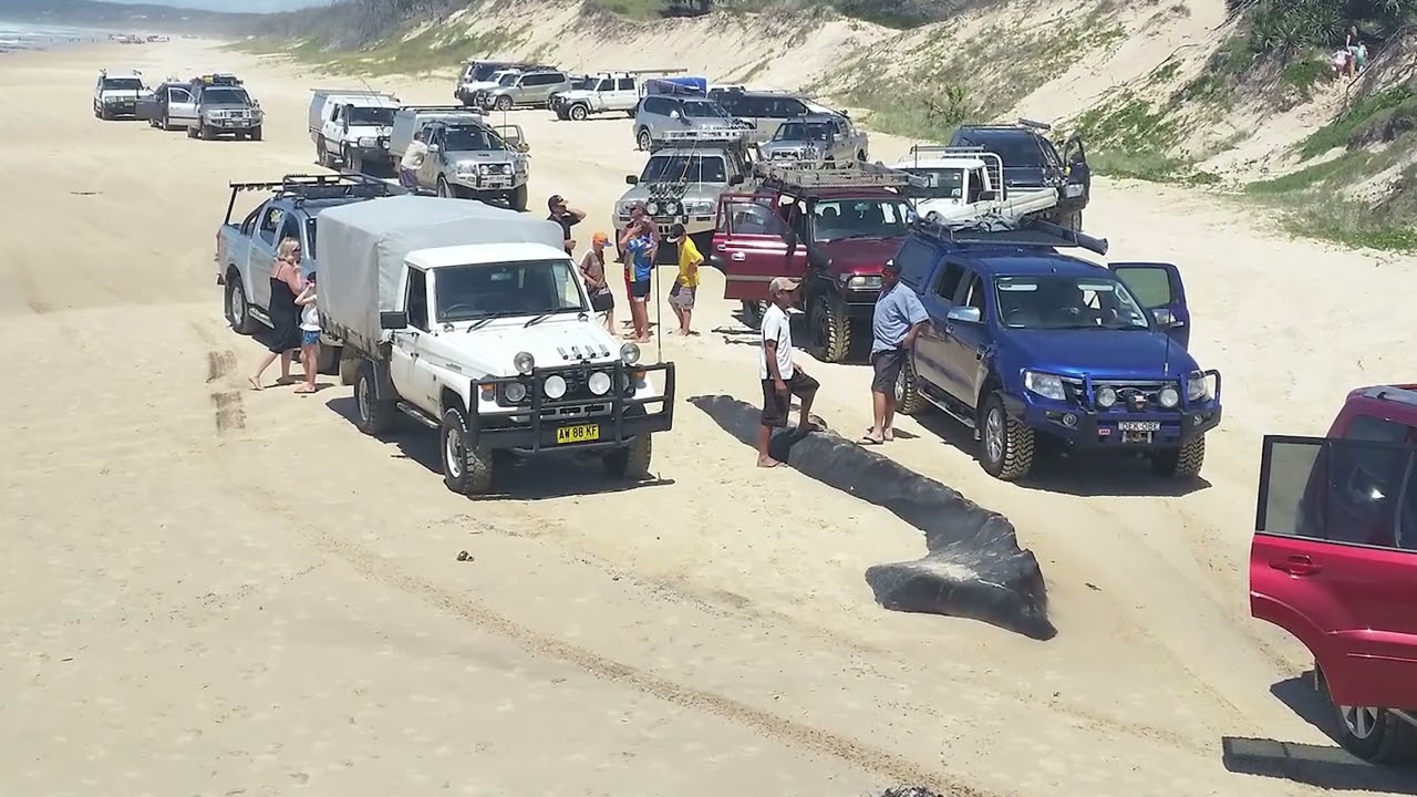 The 10 Best Places To Visit On Fraser Island - The Attractions You Must See When You Visit Fraser Is