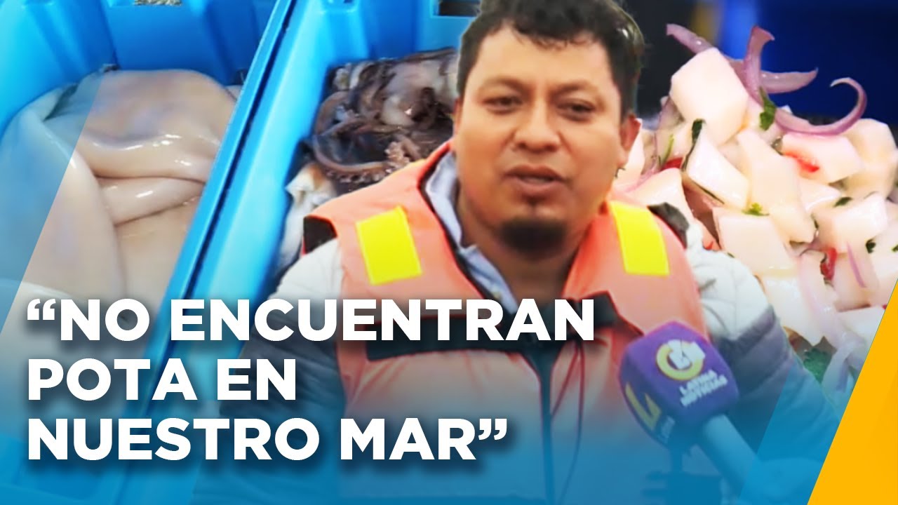 ¿A qué se debe la escasez de pota? 