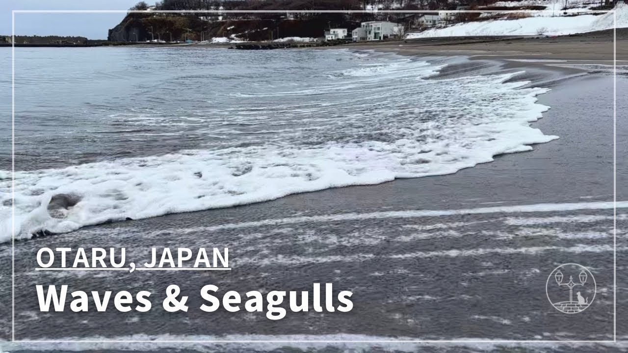 Japan Walking Tour in Otaru, Hokkaido | Winter Shioya Beach Walk with Gentle Waves and Seagulls 