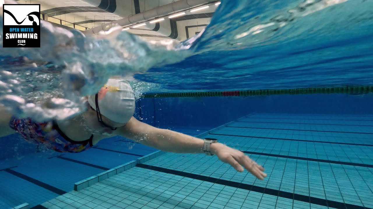 openwaterswimming.club - De 8 uur van Alkmaar 2026