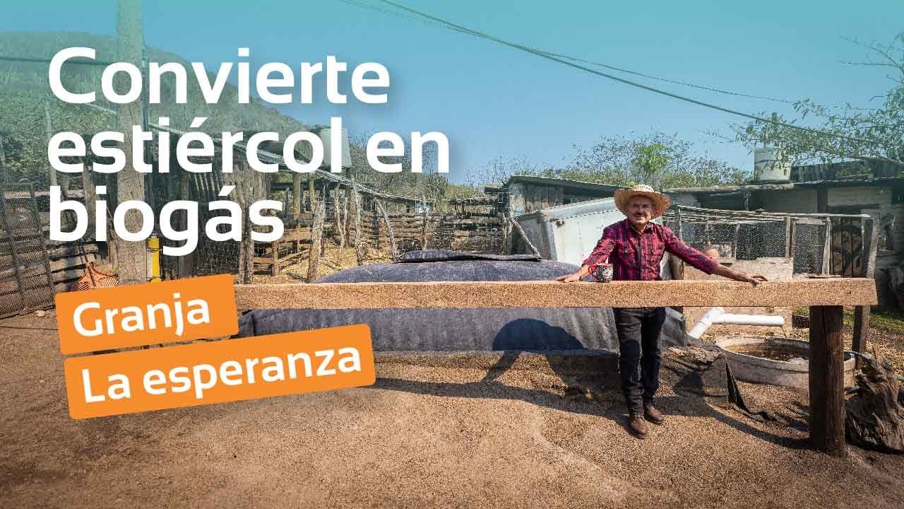 Productos lácteos con biogás de estiércol de cabras | Biodigestores Sistema.bio