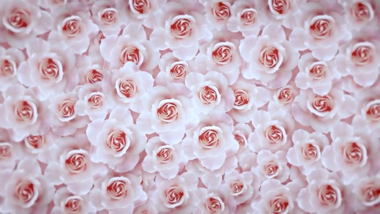 La Vie En Rose performed by Tania de Jong, composed by Édith Piaf