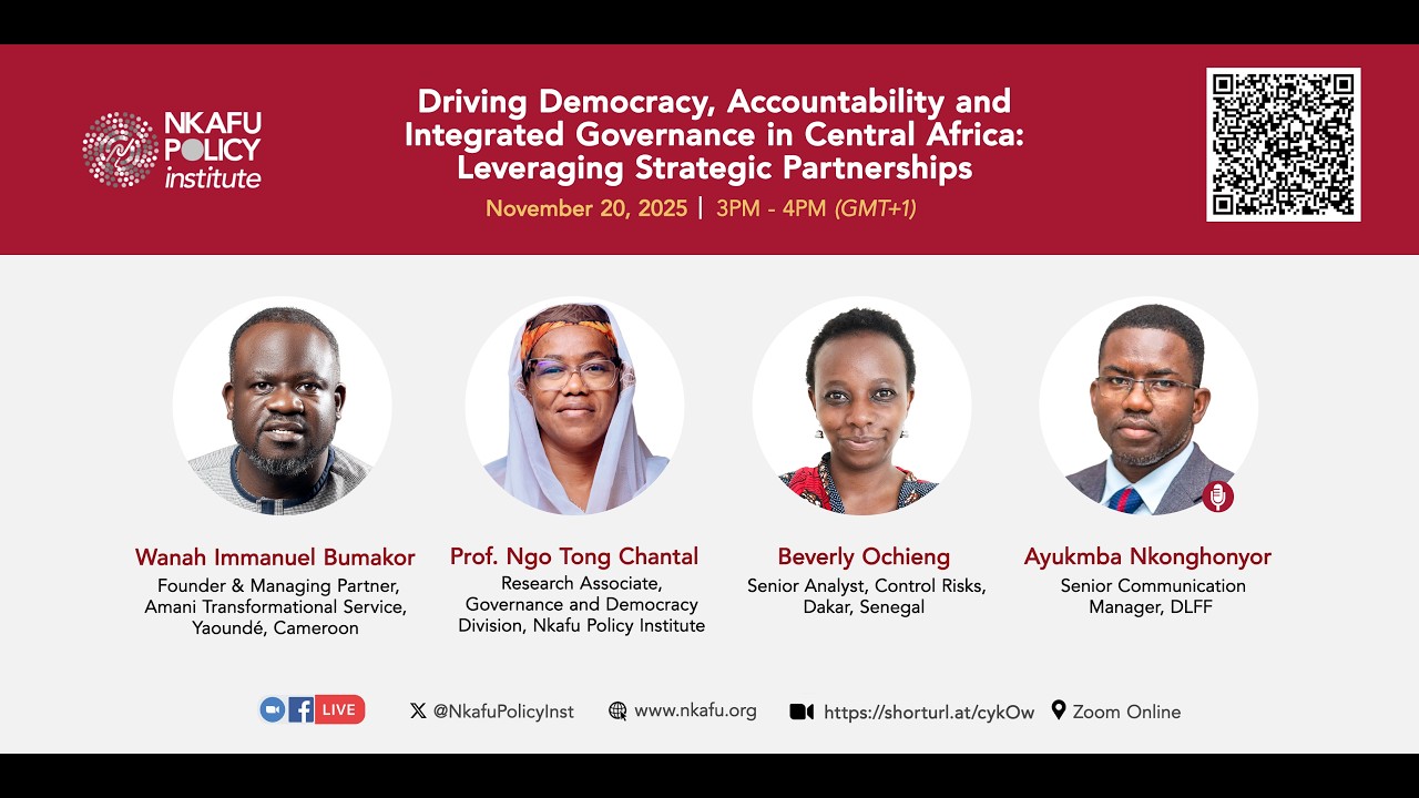 Driving Democracy, Accountability and Integrated Governance in Central Africa