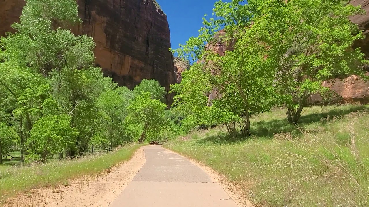 Virtual Hike on Riverside Walk