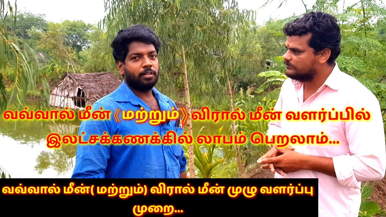 vavval meen valarpu in tamil/Viral meen valarpu tamil