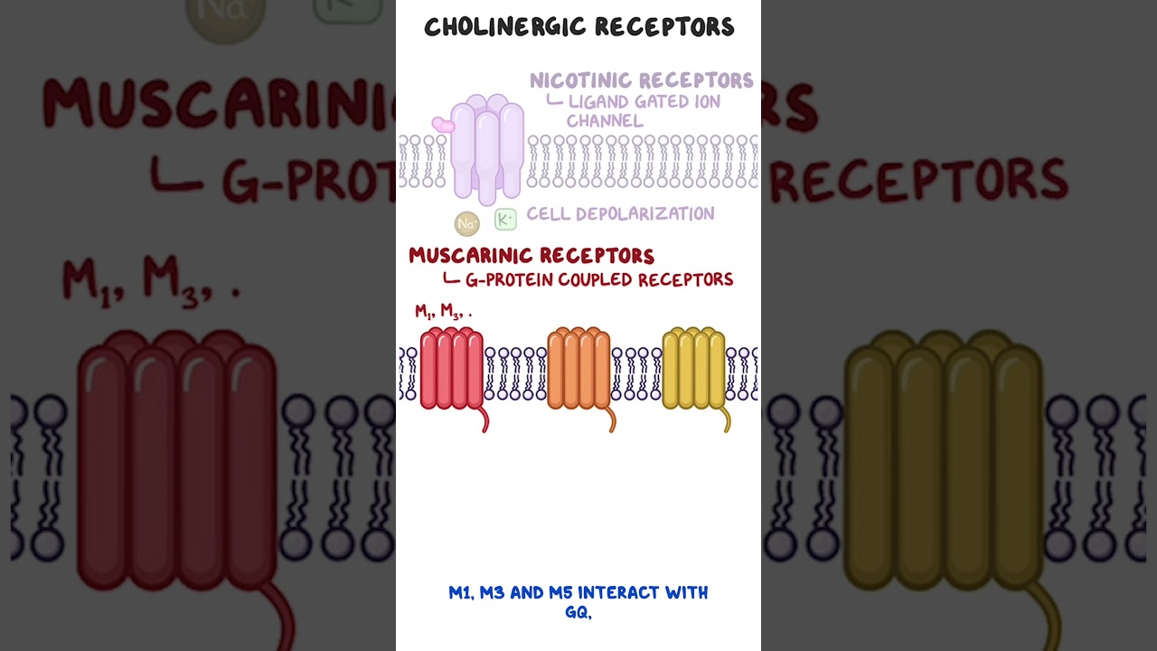 Clinical Cuts: Cholinergic crisis