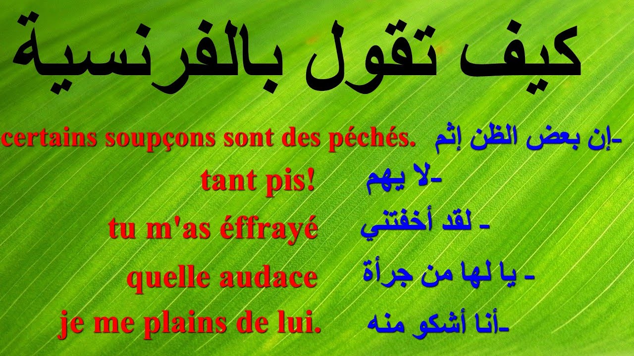 العبارات الفرنسية الأكثر إستعمالا بالحياة اليومية 36 phrases courantes