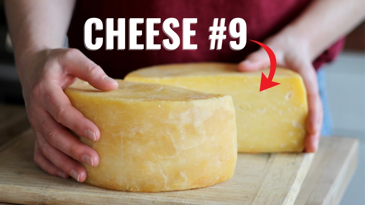 I Made 9 Cheeses From ONE RECIPE.