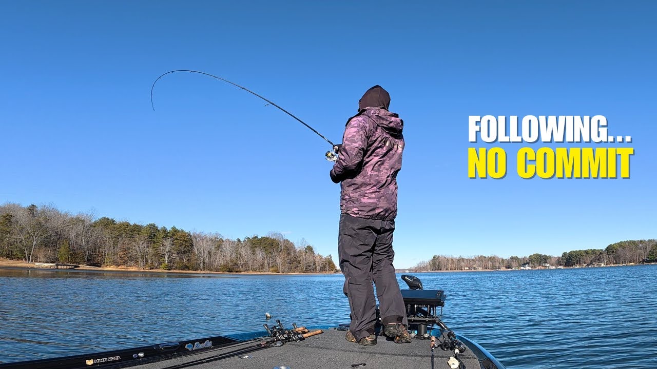 Bass Followed My Bait… But Wouldn’t Bite (Here’s Why)