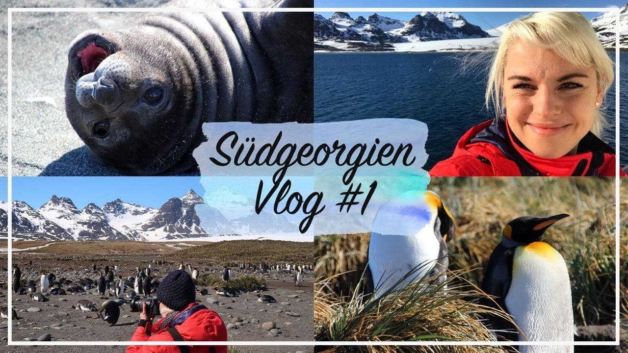 ANTARKTIS VLOG #4 - Sonnenbaden mit Hunderttausend Pinguinen