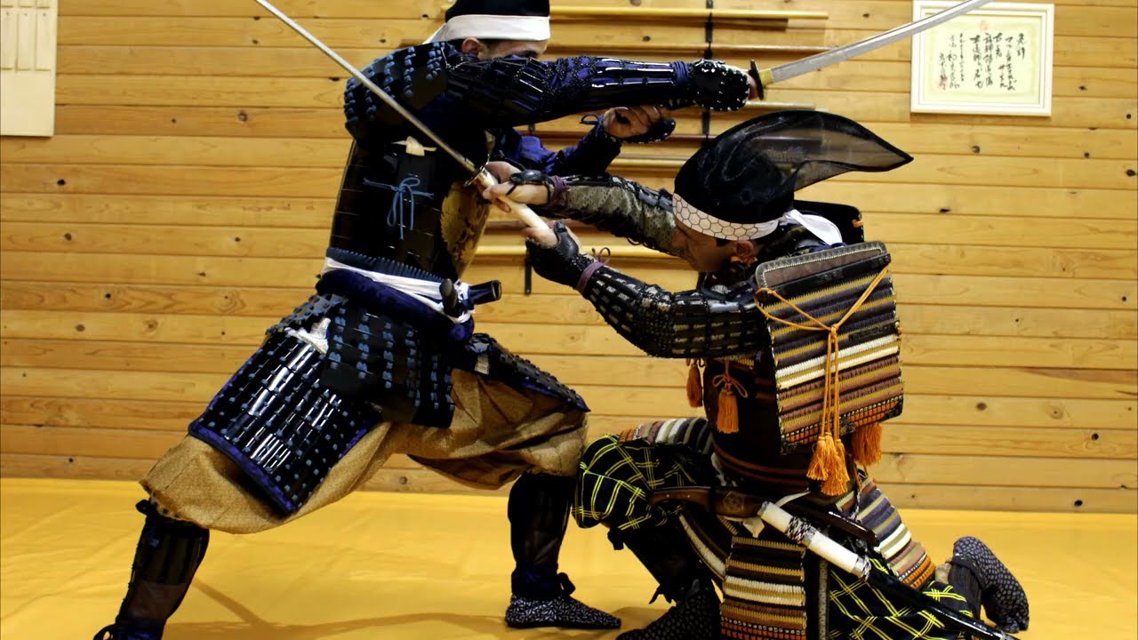 BUJUTSU / NINPO TAIJUTSU / BUJINKAN DOJO