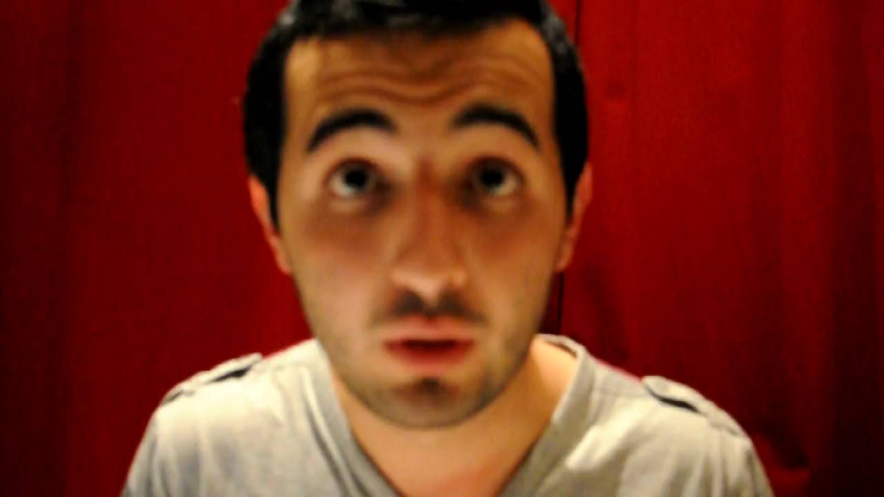 Soran Ismails Videoblogg Varför SD är rasister