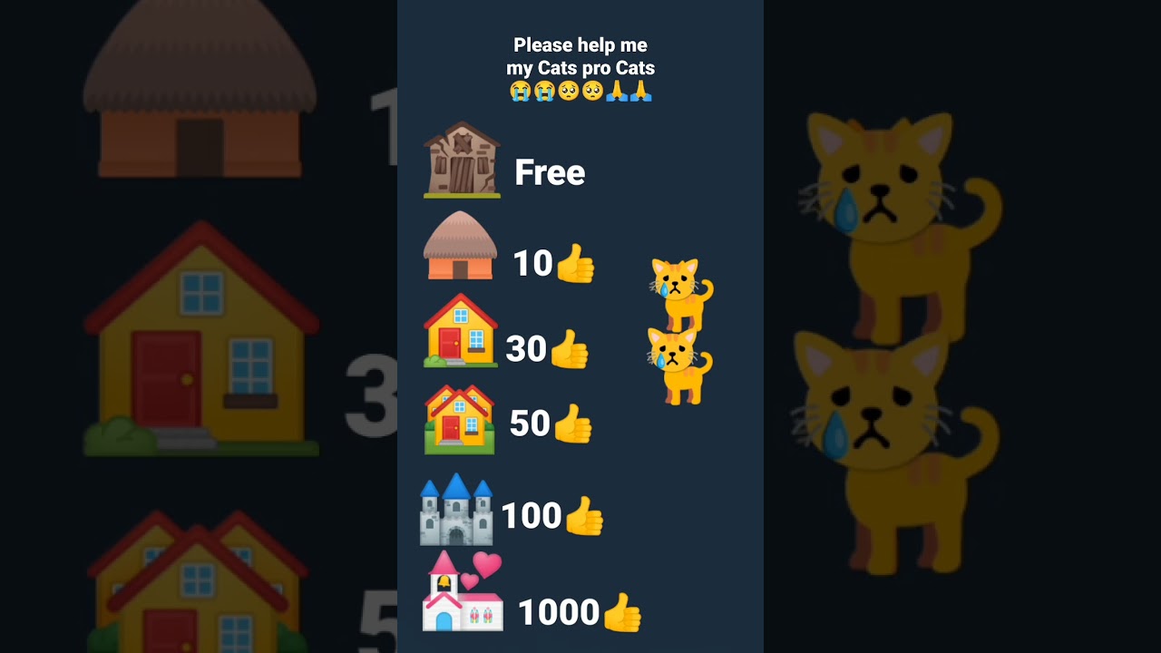 please help me my Cats pro Cats 😭😭🥺🥺🙏🙏
