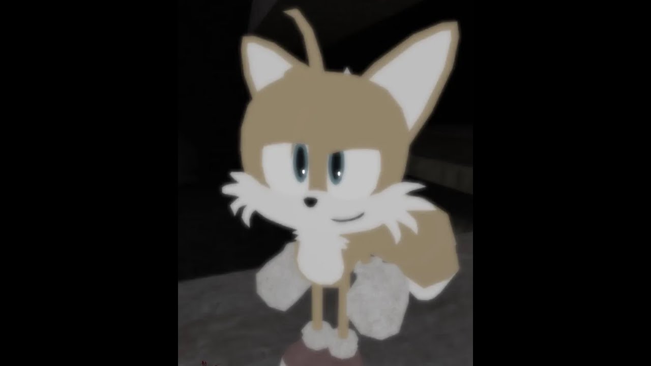 state of Sonic EXE: The Disaster 1.4