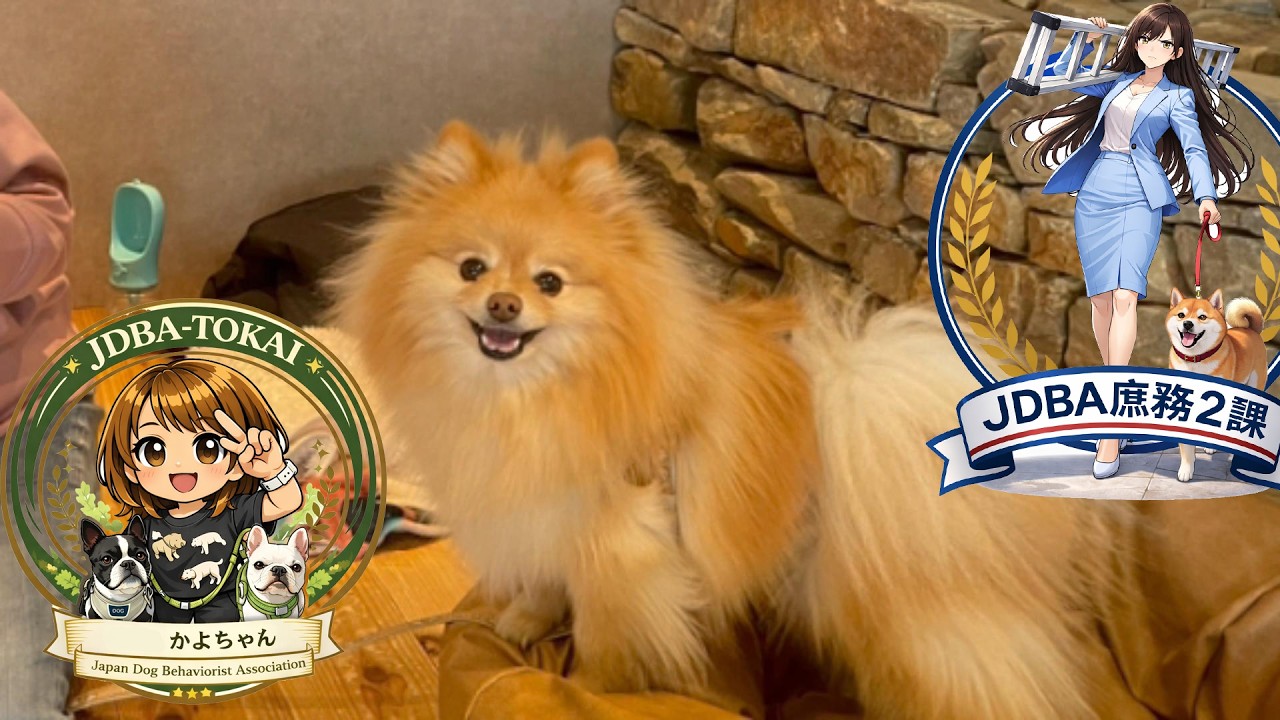 カフェで学ぶ犬のしつけ｜酒井先生と久米田先生のレッスン