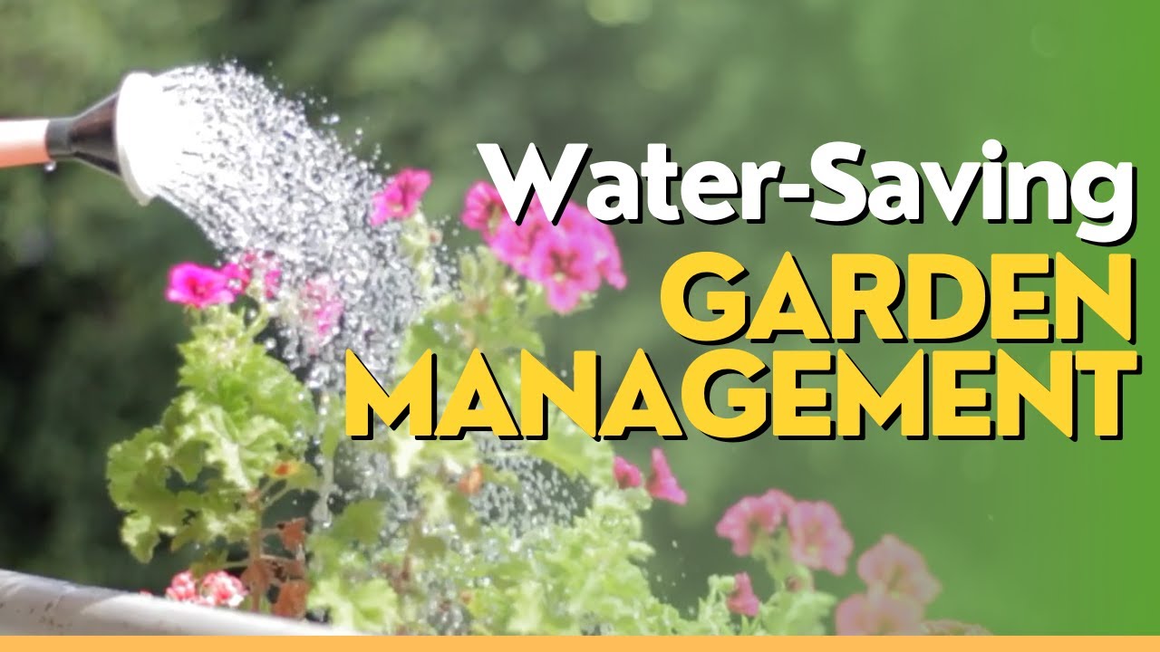 Water Saving Garden Management