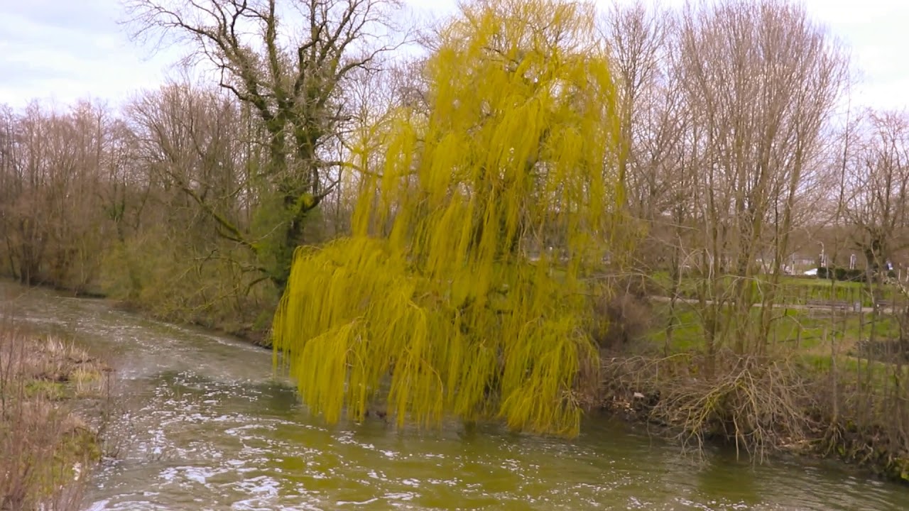 Filipina life in Germany, The Half-timbered watermill Steinfurt Wasserschloss historical Part 1