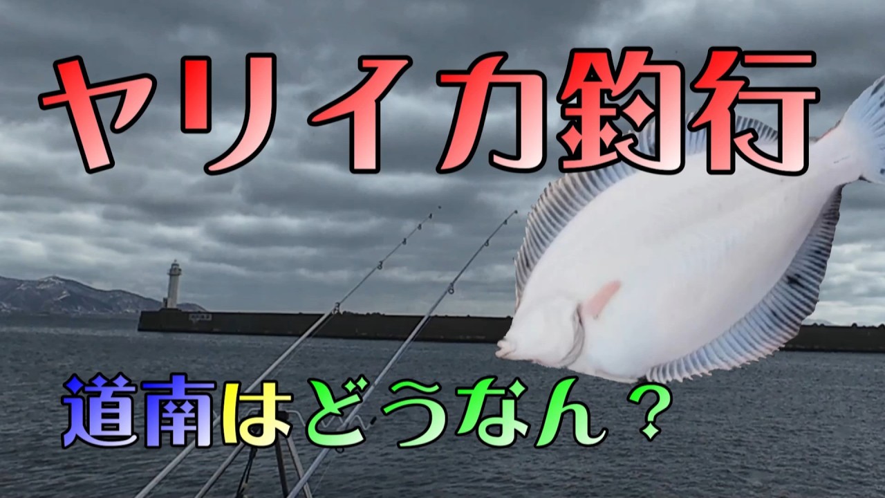 ヤリイカ狙い釣行でホッケ爆釣？