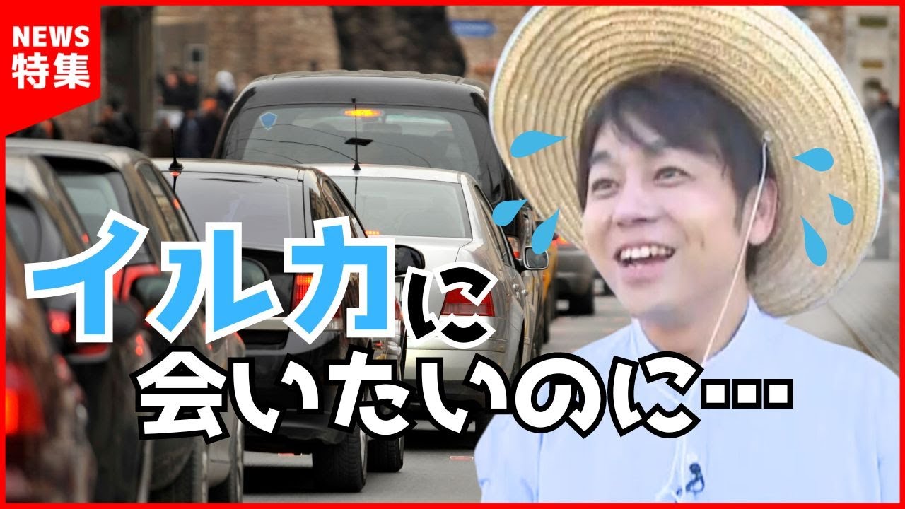 【交通渋滞】GW中の天草の交通渋滞を調査 平日と祝日はどれくらい違うのか？｜イルカウォッチング