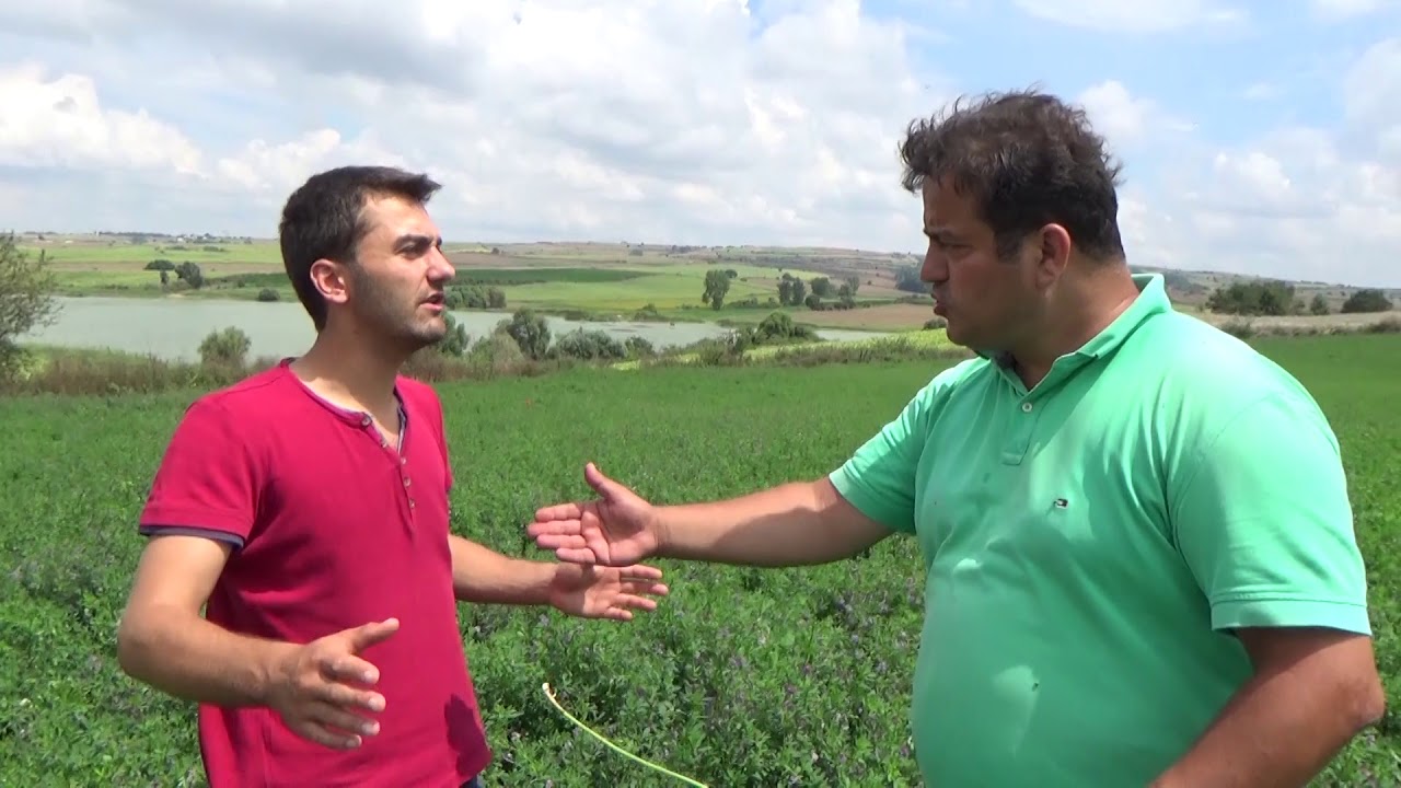 Tekirdağ Malkara - Yamaç Arazide Yoncaya Suyunu Aldırtma - Yonca Yetiştiriciliği - Ne- Nasıl