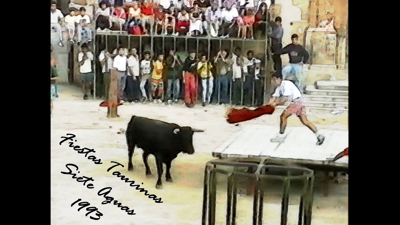 Fiestas Taurinas Siete Aguas 1993