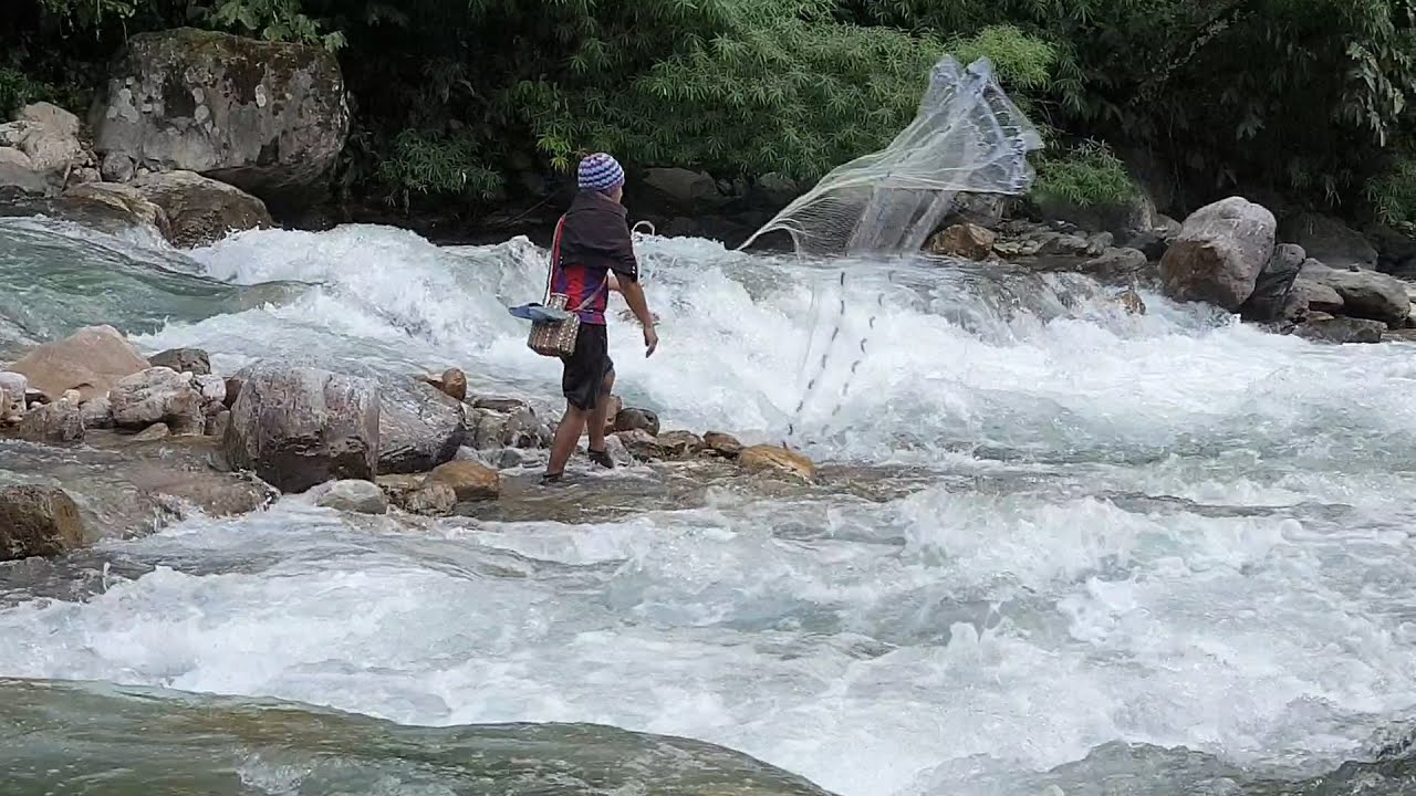AWESOME TRADITIONAL CAST-NET FISHING | ASALA FISH EVERYWHERE IN SMALL FRESHWATER RIVER OF NEPAL |
