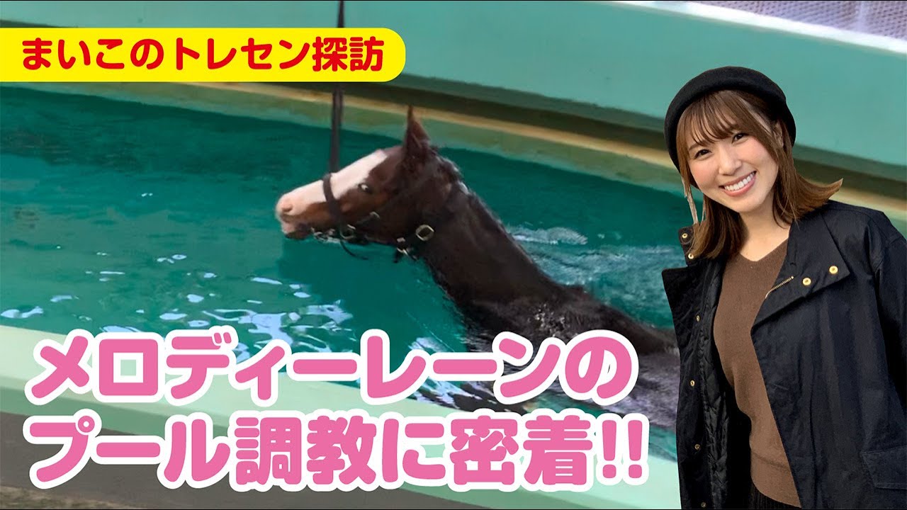 【衝撃映像！！】【まいこのトレセン探訪】メロディーレーンは泳ぎが得意だった！[競馬][競馬王]