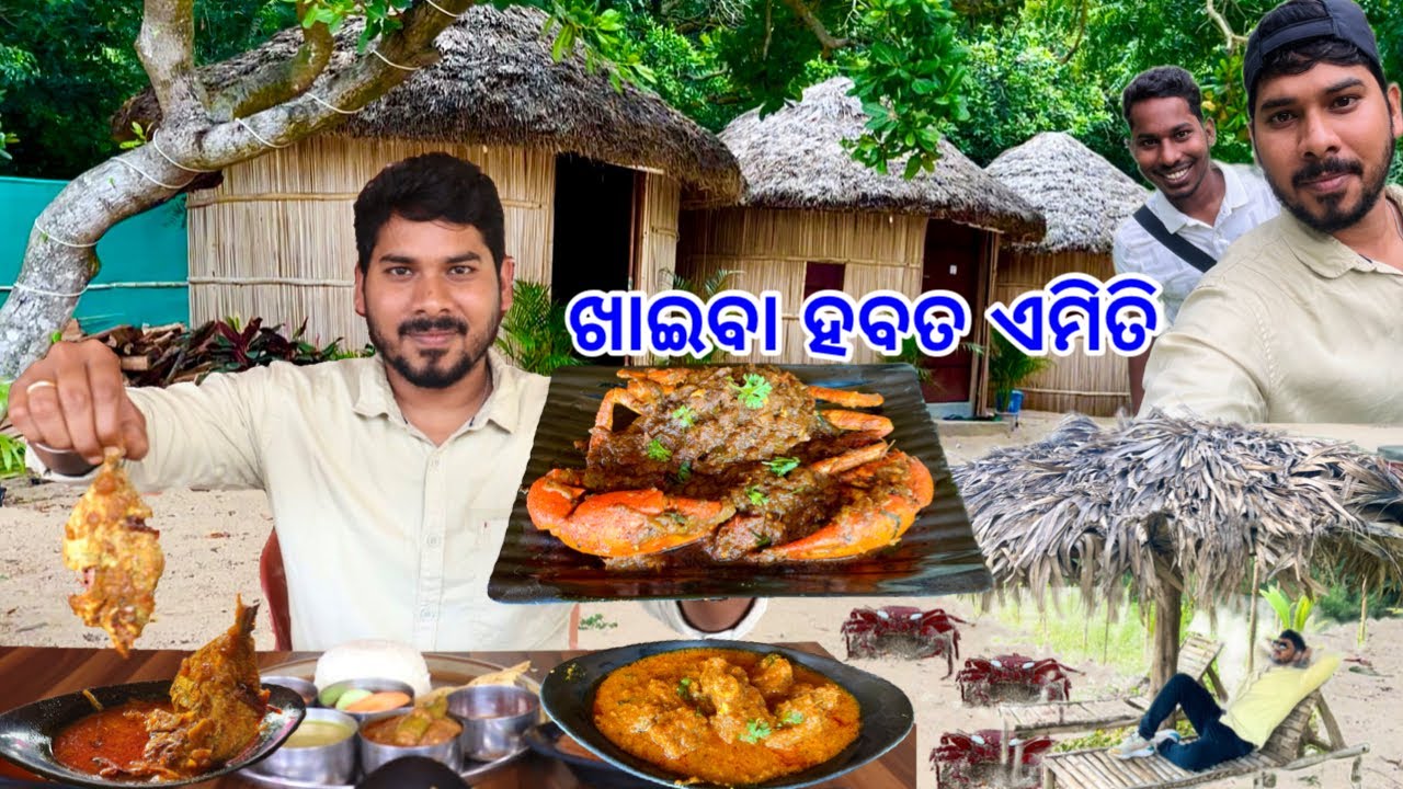Dublagadi Sea Beach ଜାଗା ହବତ ଏମିତି ଖାଇବା ରହିବା କୋଉଥିରେ କମି ନାହିଁ || Ocean Breeze Dublagadi Balasore
