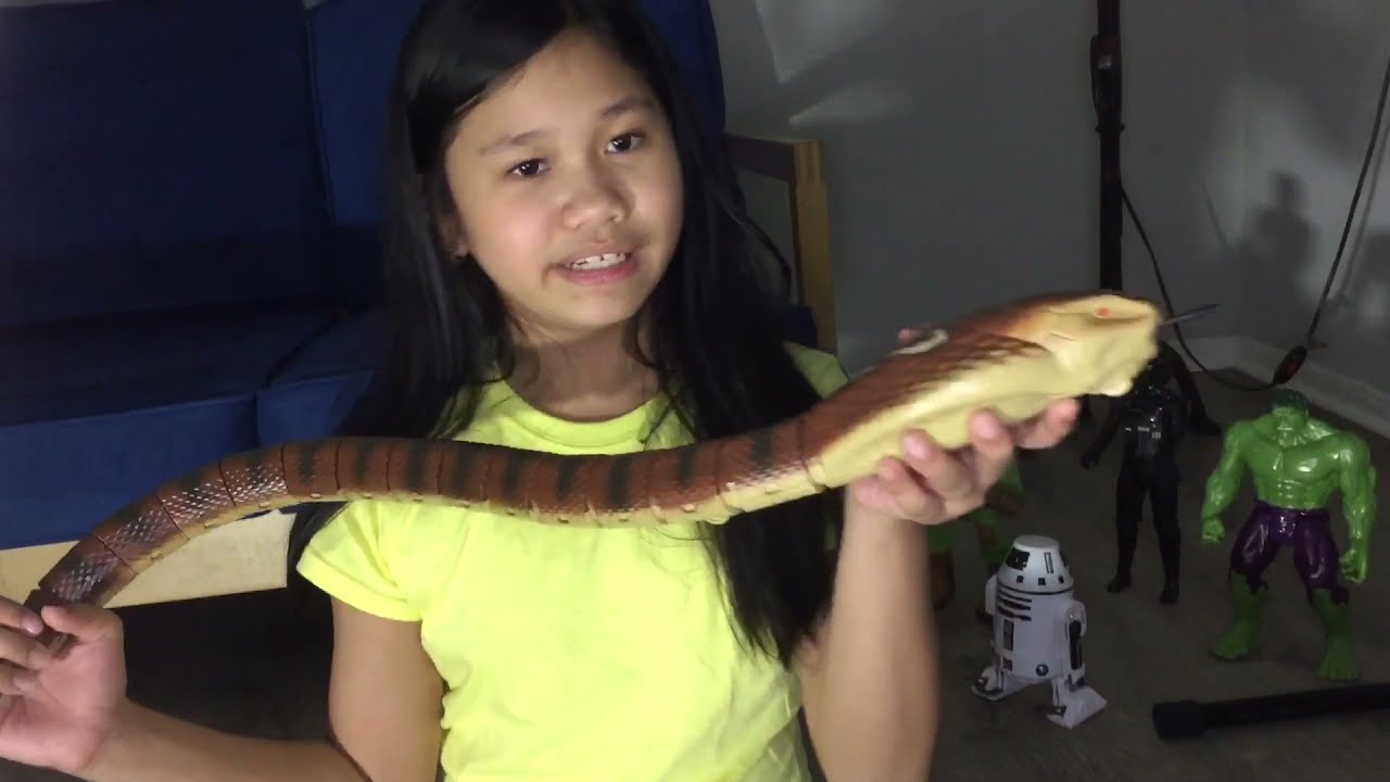 ELECTRIC DINOSAUR TOY ; TWO HEADED DRAGON ; ANIMAL PLANET SNAKE TOY
