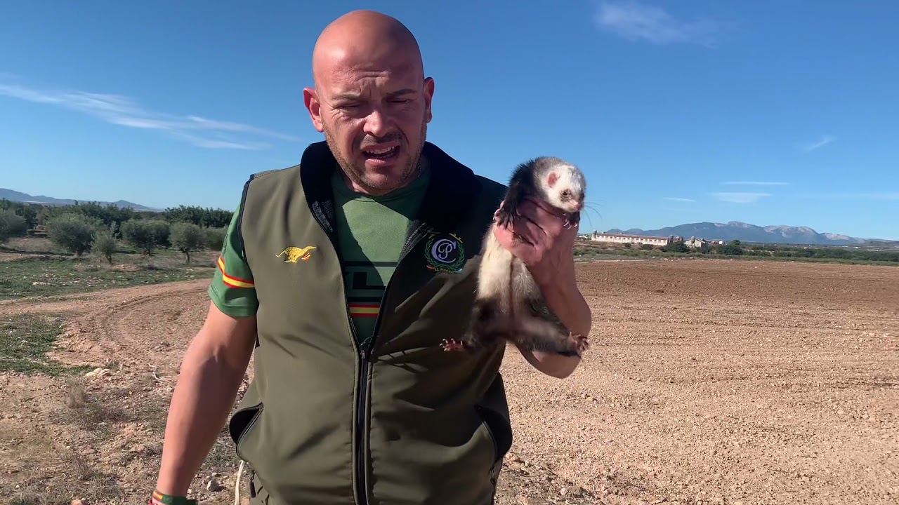 Camperos mirar como ha ido el día con los bichos! Siempre parriba Mi Gente 👍😘♥️